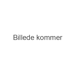 Plakat A2 GIFTIGE B�R