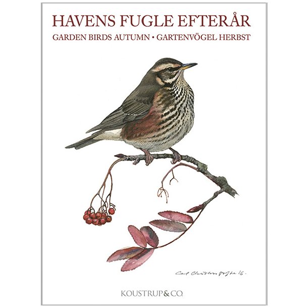 8 Kort med havens fugle &#150; Efterr