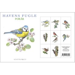 8 Kort med havens fugle  Forr