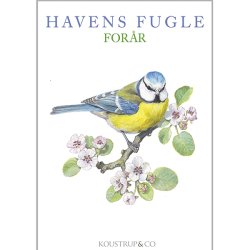 8 Kort med havens fugle  Forr