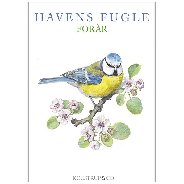 8 Kort med havens fugle  Forr