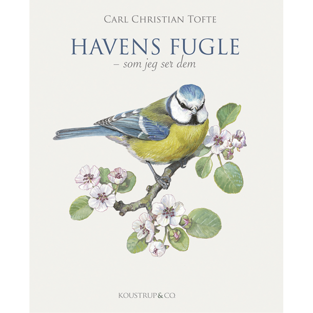 Havens fugle