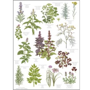 Viskestykke med krydderurter