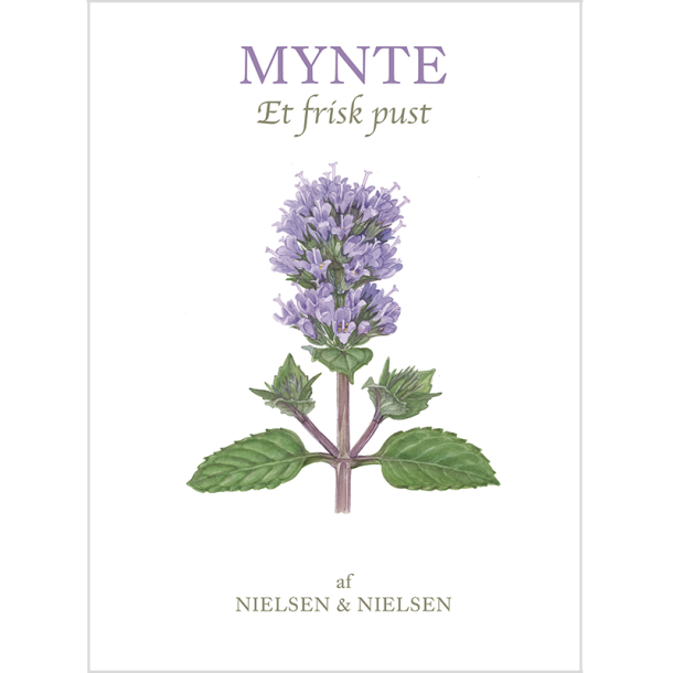 Mynte: Et frisk pust