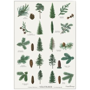 Plakat A2 med nletrer