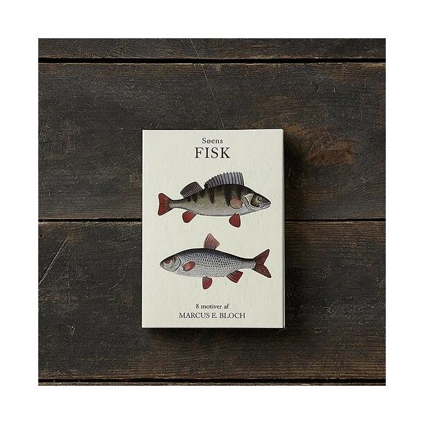 8 Kort &#150; Sens fisk