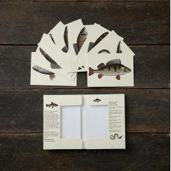 8 Kort &#150; Sens fisk