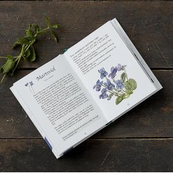 Spiselige vilde planter (hndbog)