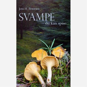 Svampe  du kan spise