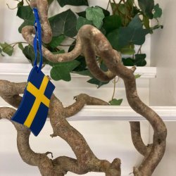 Svensk flag i tr til ophng