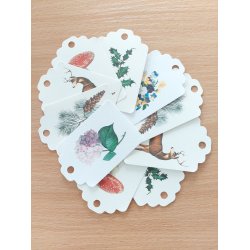 Gavemrkater  luksusprint fra The Zoologist Archives  st  10 stk