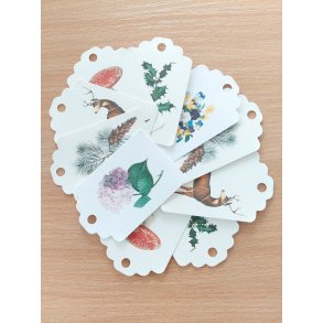 Gavemrkater  luksusprint fra The Zoologist Archives  st  10 stk