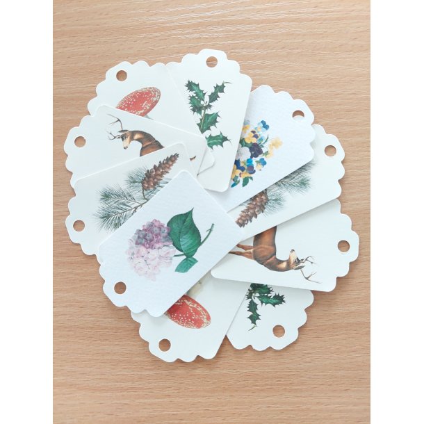 Gavemrkater  luksusprint fra The Zoologist Archives  st  10 stk