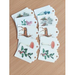 Gavemrkater  luksusprint fra The Zoologist Archives  st  10 stk